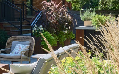 Aging-in-Place Outdoor Spaces: Universal Design and Low-Maintenance Materials