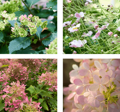 landscape design